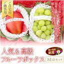 【予約★7/1〜発送可】お中元好適品【送料無料】【期間限定】...