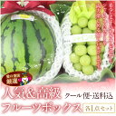 【送料無料】人気&高級フルーツボックス【のし・メッセージカー...