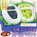 【期間限定】 国産 美味 ぶどう 2種 食べ比べ