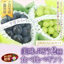 【期間限定】 国産 美味 ぶどう 2種 食べ比べ ギフトセット(シャインマスカット ナガノパープル) 葡萄 grape ブドウ 【のし・メッセージカード・ギフト 包装】お祝 プレゼント 手土産 彼岸 お返 内祝 誕生日 敬老の日 御供 新築祝 出産祝 フルーツ くだもの 果物