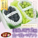 【期間限定】 国産 美味ぶどう2種食べ比べギフトセット シャインマスカット 種なし ピオーネ 葡萄 greep ブドウ 【のし・メッセージカード・ギフト 包装】お祝 プレゼント 手土産 彼岸 お返 内祝 誕生日 敬老の日 御供 新築祝 出産祝 お歳暮 クリスマス
