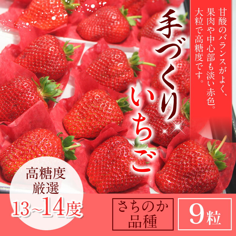 大粒 手づくり いちご(品種：さちのか) 厳選9個入＜珍しい！！”枝付き いちご”★高級の…...:aino-kajitu:10000172