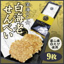 【モンドセレクション金賞受賞】白海老せんべい かき揚げ仕立て 白えび しろえび 白エビ せんべい 富山みやげ あいの風 しろえびせんべい