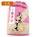 新米 あきたこまち 愛妻米 岩手県産 玄米 5kg 送料無料 | 米 5キロ お取り寄せ いわて 岩手 減農薬 農家 直送 令和元年 予約