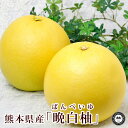 晩白柚 ばんぺいゆ 熊本県産みかん L寸 2玉 化粧箱入り 送料無料