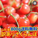 訳ありさくらんぼ佐藤錦　約800g　4パックバラ詰め　山形県産　送料無料