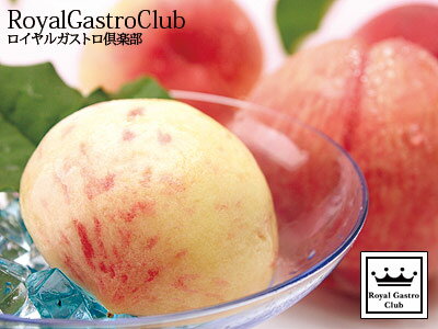 Υ륬ȥϼ谷ŹõƤ⤳ˤʤļ嶿Υץߥԡ500ǯȤ߽Фְ֥ãӡʤƤˤˡסڻľۡʡ縩̵ۡ