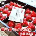 苺八景(いちごはっけい) 滋賀県野洲市産 近江(おうみ)特産 紅ほっぺ 3Lサイズ 24粒入り
