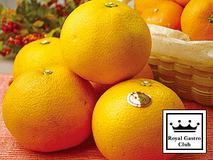 Υ륬ȥϻҶκ˿٤̣Х󥹤ɤ̣δŤߤ̥Ϥ̤ߤ󡪰ɲߤȬʤϤäˡס4kgˡڻľۡڰɲ