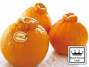 Υ륬ȥϿ٤ۤɤ˥Ф̾ΥǥݥȸƤФߥΰɲ֥ɡڤѡ۰ɲߤ֥ҥݥʥǥݥˡס5kgˡڻľۡڰɲۡڽ