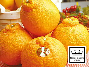 Υ륬ȥϿ٤ۤɤ˥Ф̾ΥǥݥȸƤФߥΰɲ֥ɡʡ۰ɲߤ֥ҥݥʥǥݥˡס5kgˡڻľۡڰɲۡڽʤ