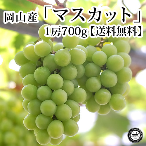 岡山県産　マスカット　約700g×1房　化粧箱入り　送料無料