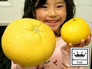 Υ륬ȥȢ򳫤ƥӥåꡪХ졼ܡߤ礭Ķߤ١11ʾ塪ȤäƤšߥȢ򡢸ޤǤϤפޤɲߤ¼ʸöʤޤĤ֤󤿤ˡס10kgˡڻľۡڰɲ