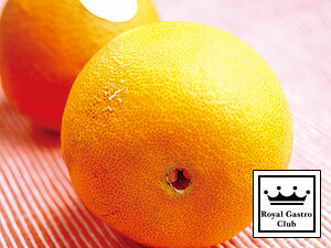 Υ륬ȥ٤⤯ƻ̣㤤ν֥͡ο͵ʼڤѡ۰ɲߤ֥֥͡륪󥸡ˡס5kgˡڻľۡڰɲ