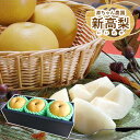 源ちゃん農園 和梨 新高 にいたか 特大 3玉 秀品 新潟県産 送料無料 | プレゼント 贈り物 フルーツ ギフト くだもの 和梨 米寿 還暦 祝い 喜寿 卒寿 祖母 80歳 お祝い 傘寿 出産 内祝い 古希 百寿 お見舞い 長寿祝い 還暦祝い 10月 11月 秋