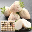 白い苺(いちご) パールホワイト 奈良県産 230g 2パック詰め 送料無料 ランキングお取り寄せ