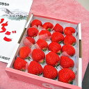 ももいちご(桃苺) 徳島県佐那河内村産 16?20玉 化粧箱入り 送料無料 クール便