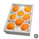 九度山の富有柿(ふゆうがき) 和歌山県九度山町産 8-9玉入り(約2kg) 送料無料