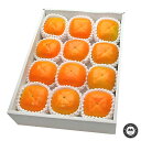 九度山の富有柿(ふゆうがき) 和歌山県九度山町産 12玉入り(約4kg) 送料無料
