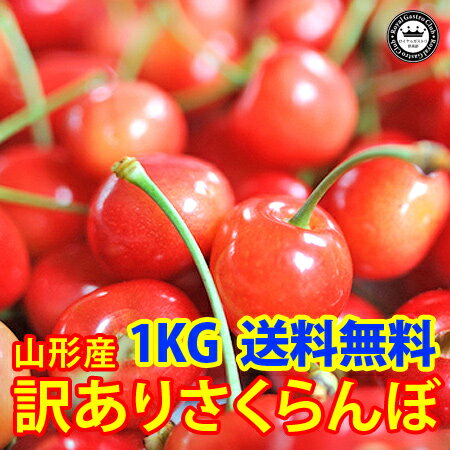 訳ありさくらんぼ佐藤錦　約1kgバラ詰め　山形県産　送料無料