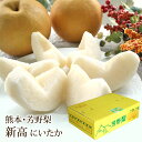 新高梨(にいたかなし) 熊本県産 約5kg(7〜9玉入り) 送料無料 芳野の日本梨