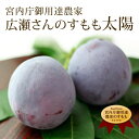 すもも　太陽　Lサイズ・12玉入り　化粧箱　山梨県産プラム　送料無料