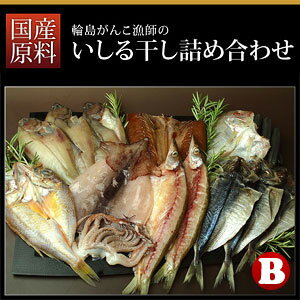 輪島のいしる漬け　干物詰め合わせ　13品入り　国産ひものBセット　送料無料