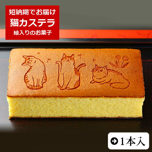 ねこのカステラ カステラ 1本入 0.6号 化粧箱入り 猫 ネコ 動物 お菓子| スイーツ お菓子 プレゼント 挨拶 メッセージ入り 誕生日プレゼント 米寿 内祝い プチギフト 子供 贈り物 お祝い 喜寿 出産内祝い 退職 お歳暮 かわいい ギフト 還暦祝い 卒寿 古希 80歳 傘寿