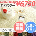 【送料無料】ラグ マット カーペット 洗える じゅ