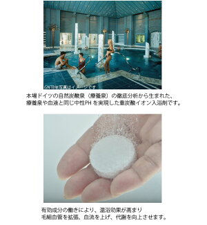 薬用ホットタブ(100錠入)HOTTAB-100
