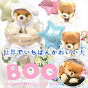 おむつケーキBOO 売れ筋【おむつケーキ】★土曜日営業【送料無料】出産祝い♪【パンパース25枚】ベビーギフト・男の子 女の子【送料無料】【あす楽対応】【あす楽_土曜営業】 パンパース売れ筋 Sassy売れ筋ダイパーケーキセレブ 02P03Dec16 クリスマス