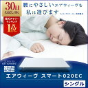 【ウルトラSALE限定】【最安モデル】エアウィーヴ スマート...