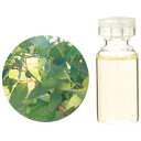 (生活の木)エッセンシャルオイルユーカリ・シュタイゲリアナ 10ml