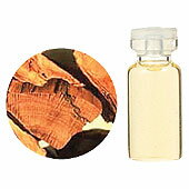 （生活の木）エッセンシャルオイルサンダルウッド　10mlウッディーで甘く、オリエンタルでデリケートな香り。日本では白檀と呼ばれ香木として親しまれている