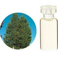 （生活の木）エッセンシャルオイルシダーウッド・バージニア　　3mlシャープですっきりとした香りシダーウッド・アトラスとは全く違う科で、特徴や成分も異なる。レッドシダーと呼ばれる