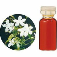 （生活の木）エッセンシャルオイルジャスミン・アブソリュート 1ml軽く陶酔させる、甘美でエキゾチックな花の香り