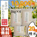 ¡Ú20kg¡Ê5kg¡ß4ÂÞ) ÇòÊÆ¡Û30ǯ»º ²ñÄŤΤޤ¸¤á¤ÊÊÆ¡Ê²ñÄÅ»º¥³¥·¥Ò¥«¥ê¡Ë