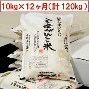 20ǯʡ縩Żҥ椫ä˸Τơ۲̵۲Ťơʡ縩Żҥ10kg(5kg2)12