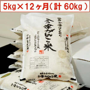 20ǯʡ縩Żҥ椫ä˸Τơ۲̵۲Ťơʡ縩Żҥ5kg12