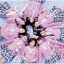 ■通常盤B■AKB48 CD+DVD【桜の木になろう】11/2/16発売