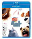 10%OFF■洋画 Blu-ray+DVD【映画 ペット ブルーレイ+DVDセット】16/12/21発売【楽ギフ_包装選択】