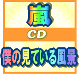 ■通常盤　歌詞ブックレット36P封入■嵐 2CD【僕の見ている風景】10/8/4発売