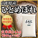 山形県産 ひとめぼれ 玄米 約24kg(62-R)