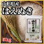 【30年産新米】山形県産 はえぬき 5kg(10-A3)