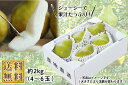 山形の洋梨 極上大玉シルバーベル 約2kg 化粧箱