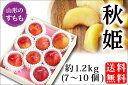 ½©É± Ìó1.2kg¡¿7¡Á10¸Ä¡Ê08-G¡Ë