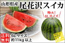 特大スイカ 秀品ギフト用 約11kg以上/6Lサイズ(02-P)