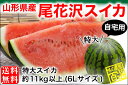 特大スイカ ご自宅用 約11kg以上/6Lサイズ(02-X)
