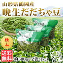 極上晩生だだちゃ豆 約1.5kg(03-J)