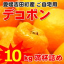 【送料無料】【訳あり・ご自宅用】愛媛吉田町産デコポン10kg